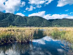 -腾冲北海湿地