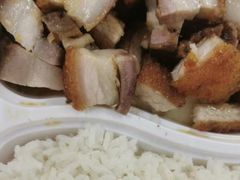 -深井煌烧鹅(林和东店)