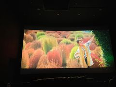 -SFC上影百联影城(大上海4DX店)