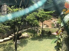 -梦幻奥陶纪景区