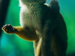 -济南野生动物世界