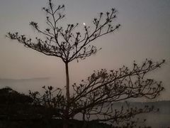 -深圳湾公园(南山区)