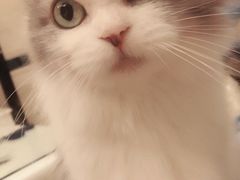 -安安宠医·安宠宠物医院