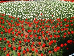 -长春公园(普阳街道)