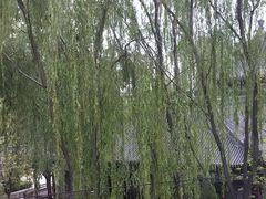-文瀛公园