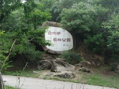 -白水寺森林公园