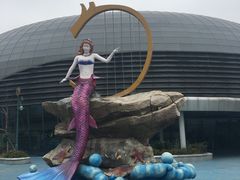 -芜湖新华联大白鲸海洋公园