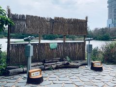 -华侨城湿地公园