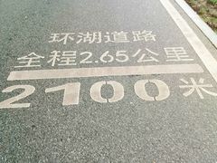 -海珠湖公园