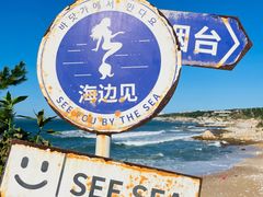-海岛日记(养马岛店)