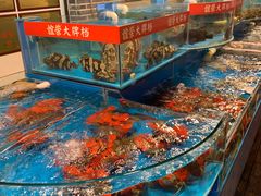 水产区-谊荣海鲜大牌档(石湖店)