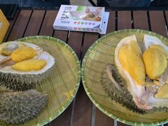 -榴莲BB 四季果园