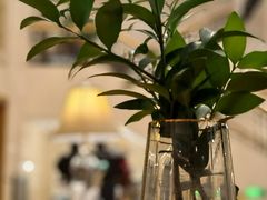-阿什卡咖啡馆ESSCA COFFEE(塔里木石油宾馆店)