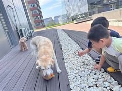 -百好乐宠物友好餐厅(朝外大街店)