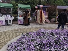 -嘉定紫藤园