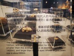 -北京周口店北京人遗址博物馆
