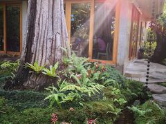 景观位-Chom Cafe and Restaurant