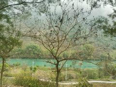 -长寿村