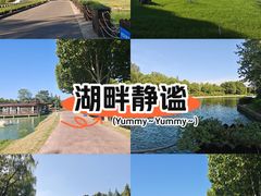 -滨湖塘西河公园