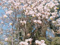 -陕西师范大学(雁塔校区)