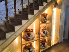 -喵屋coffee
