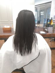 -程Studio