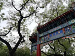 -北京国子监胡同