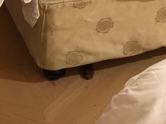 -北京九华山庄会展酒店