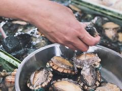 -南沙十九涌渔人码头-南门