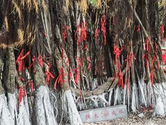-胡里山炮台