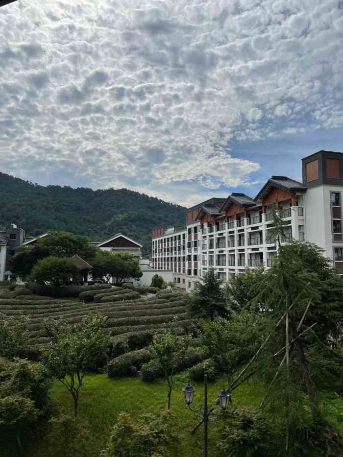 余姚阳明温泉山庄-"和朋友相约一起去的,交通还蛮便利的,高铁.