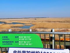-盐城丹顶鹤湿地生态旅游区