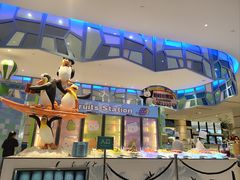 -帝企鹅自助餐厅•儿童岛•真企鹅(长隆企鹅酒店)