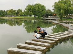 -上海佘山世茂艾美酒店