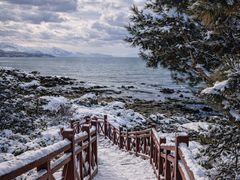 -养马岛旅游度假区