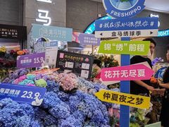-盒马鲜生(皇庭广场店)