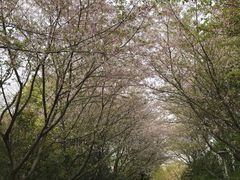 -长广溪湿地公园