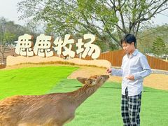-盈香心动乐园