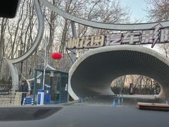 -枫花园汽车电影院(朝阳公园店)