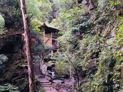 -藏龙百瀑风景区