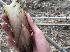 -南京市无想山景区