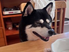 -柴の食堂·日式家庭料理·熊之肆(大学路店)