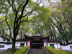 -上海佘山国家森林公园天马山园