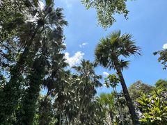 -中国科学院西双版纳热带植物园
