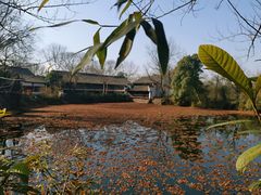 -西溪国家湿地公园