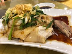 葱油淋鸡-粤·向群饭店(泮塘路店)