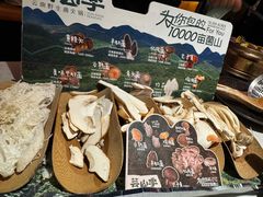 -芸山季·云南山珍菌火锅(人民广场来福士店)