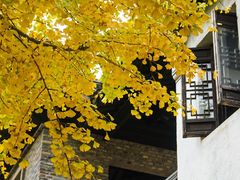 -惠山古镇·寄畅园