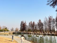 -瑶湖郊野森林公园