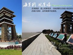 -大湾区中央湿地公园